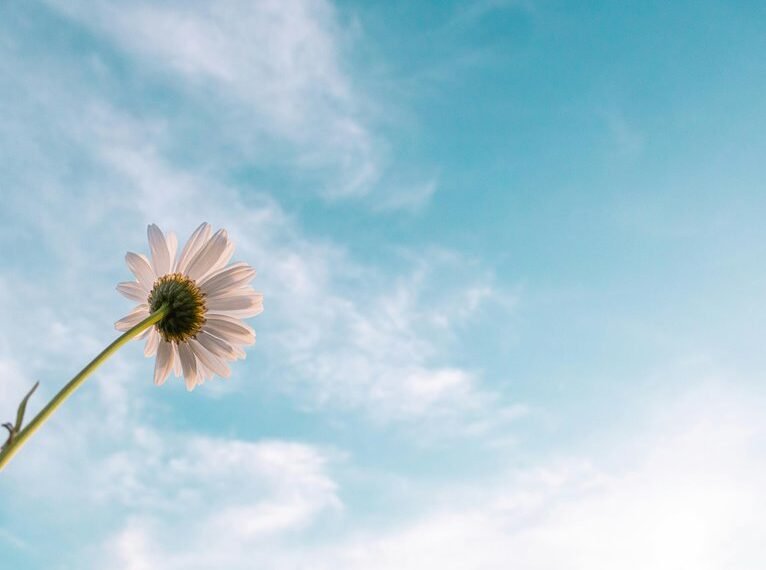 enterprise growth intelligence analysis